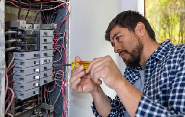 Best Generator Installation Services  in Cordova, AL